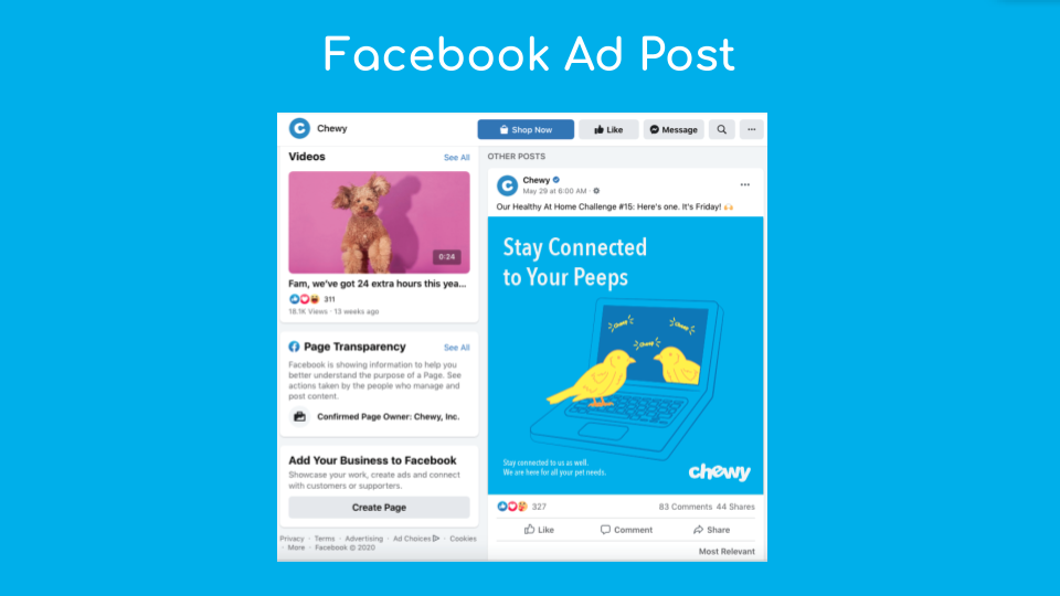 Chewy Promo (1).png