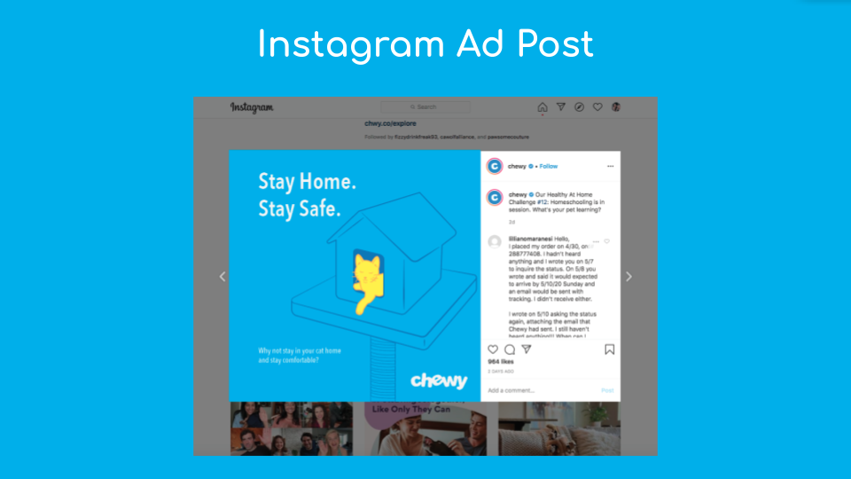Chewy Promo (2).png