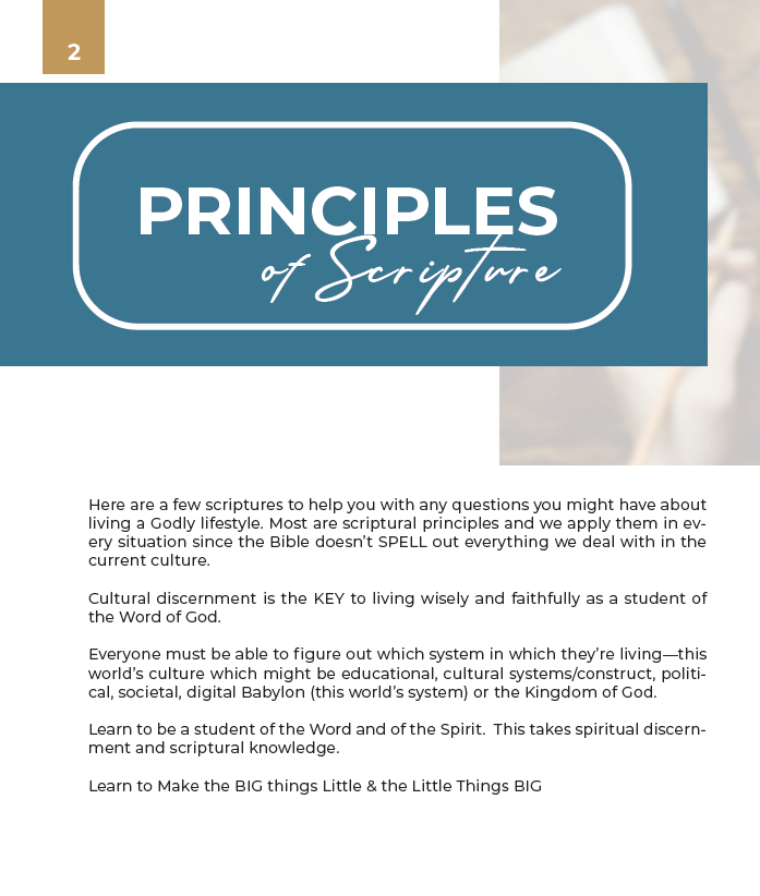 Scripture Principles Principles of Scripture Handbook — Kingdom Advance