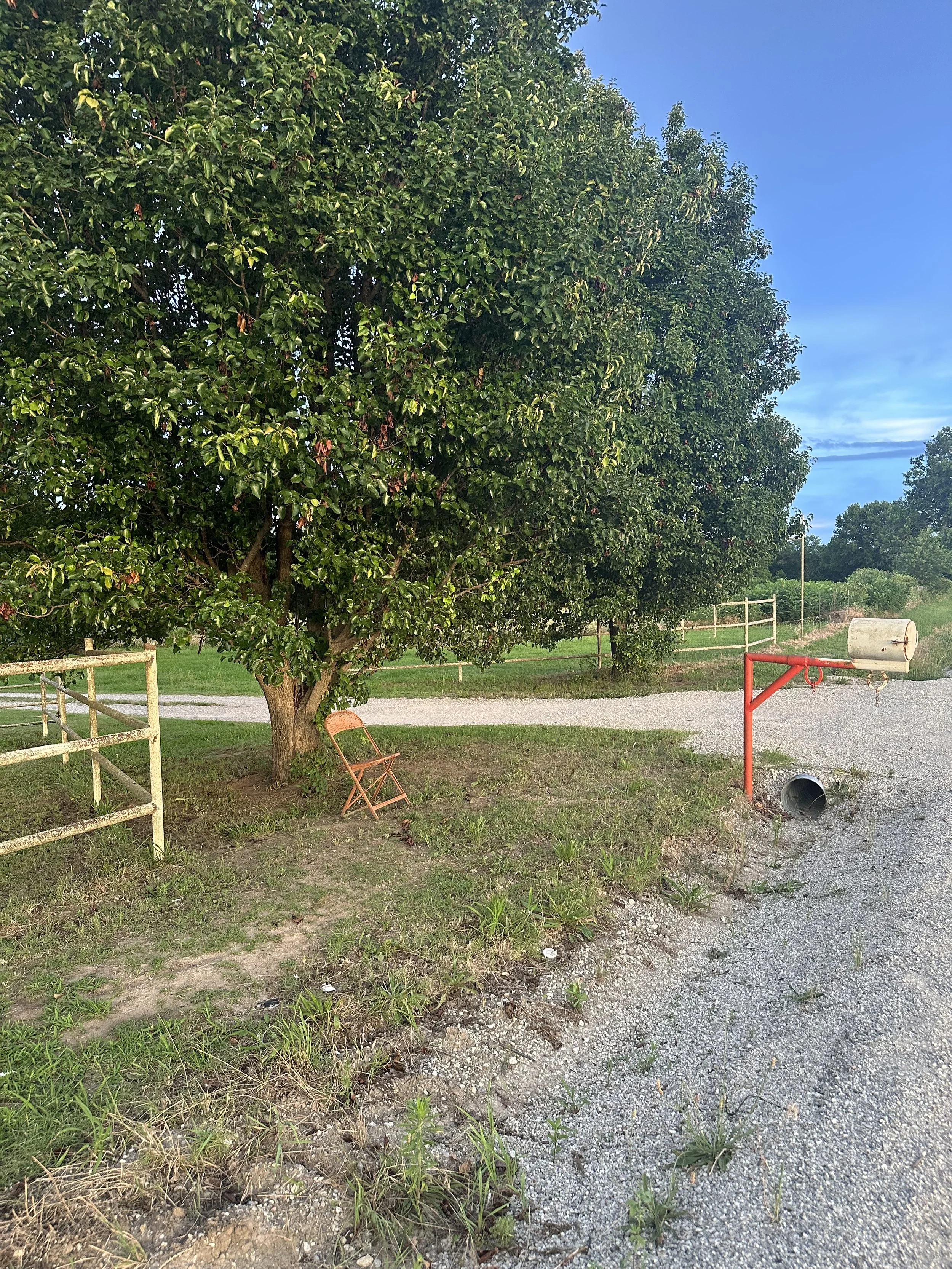 metal chair by a tree and a red mailbox