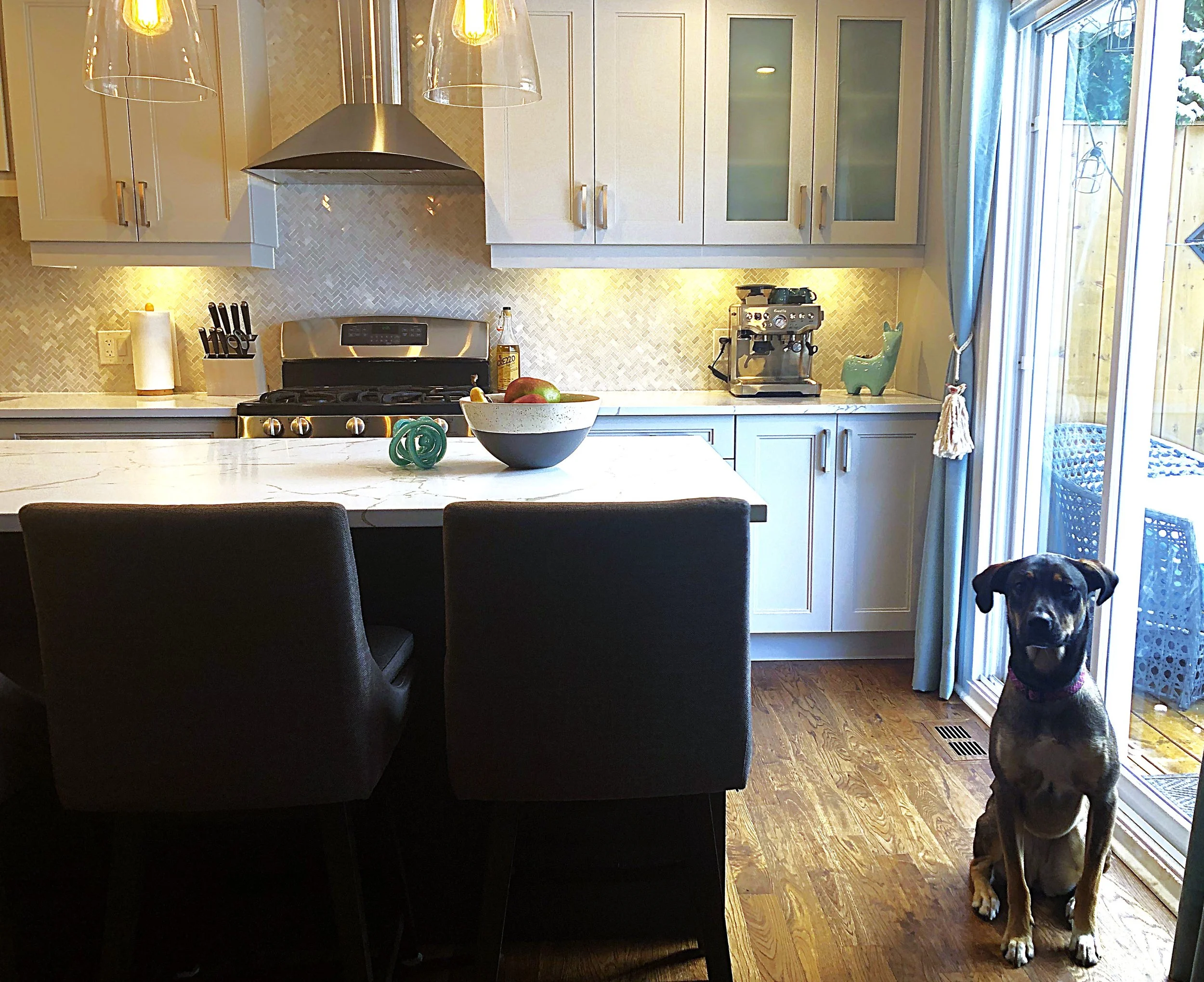 2019-11-07 12.06.39.jpg