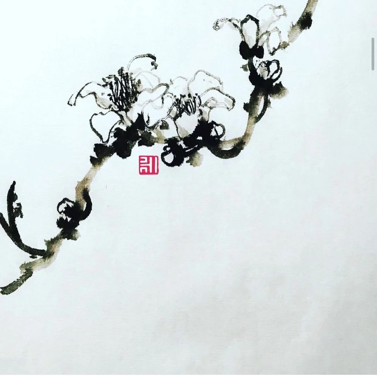 #cotton #tree #木棉花 #blossoms #inkart #fineart #artwork #painting #drawing #ink #art #artistsoninstagram #flowers #artoftheday #chinesebrushpainting #sumie #水墨画 #國畫 #花 #花のある暮らし #墨絵 #flor #blomma #春 #墨色 #賞花 #floweroftheday #seasonal #monochromatic #mon