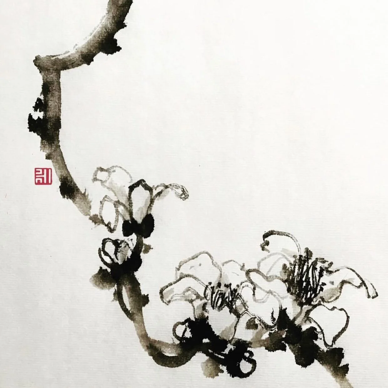 #cotton #tree #木棉花 #blossoms #inkart #fineart #artwork #painting #drawing #ink #art #artistsoninstagram #flowers #artoftheday #chinesebrushpainting #sumie #水墨画 #國畫 #花 #花のある暮らし #墨絵 #flor #blomma #春 #墨色 #賞花 #floweroftheday #seasonal #monochromatic #mon
