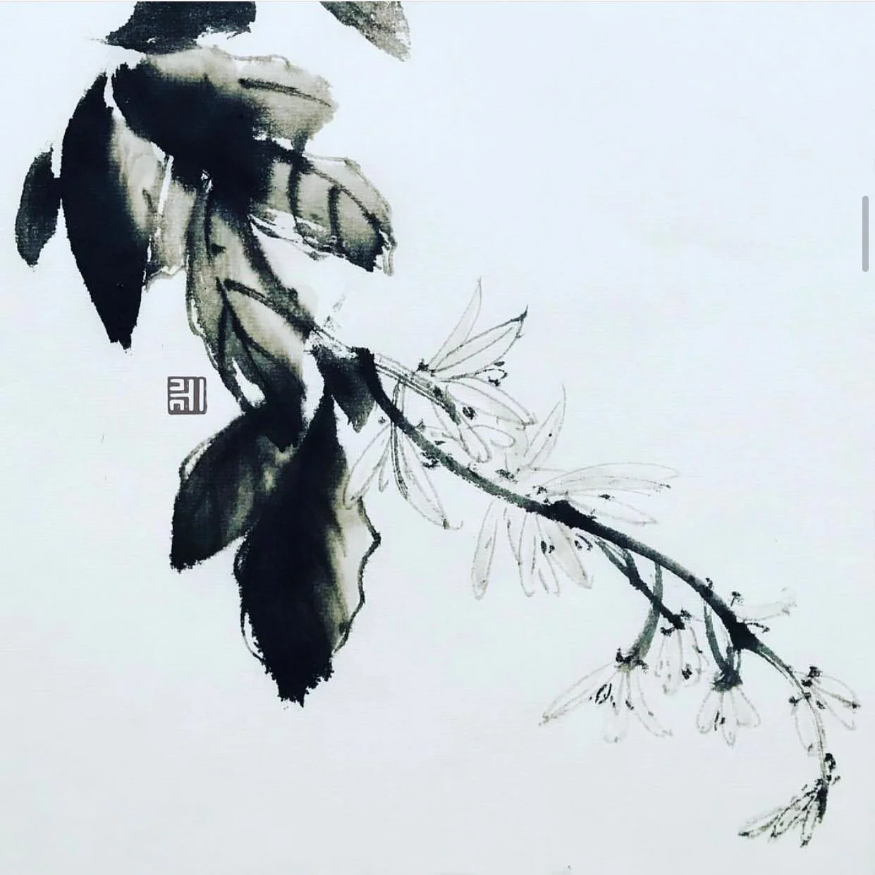 #錫葉藤 #purple #藍花藤 #blue #blossoms #inkart #fineart #artwork #painting #drawing #ink #art #artistsoninstagram #flowers #artoftheday #chinesebrushpainting #sumie #水墨画 #國畫 #花 #花のある暮らし #墨絵 #flor #blomma #春 #墨色 #賞花 #floweroftheday #seasonal #monochromatic