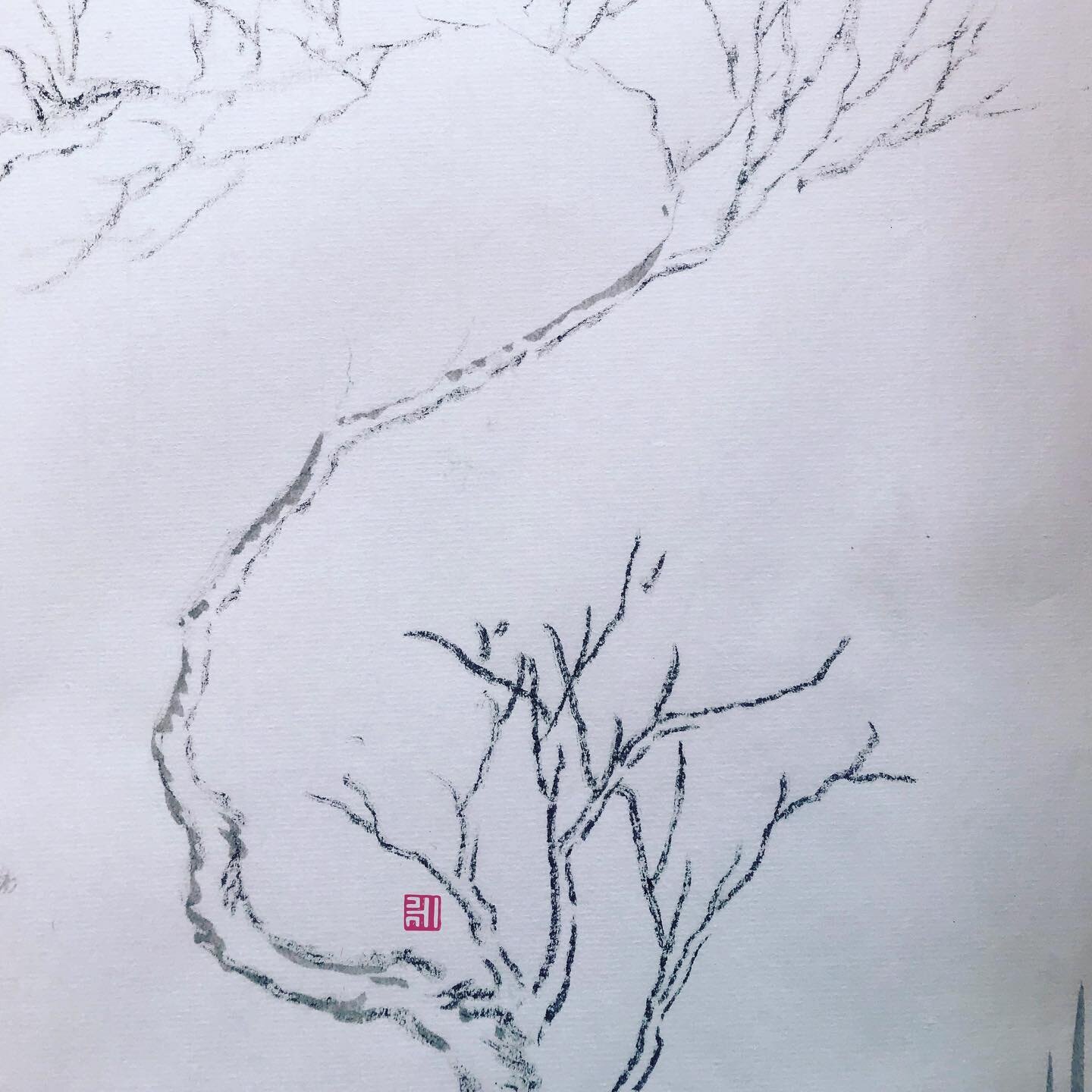 The study of trees.

#ink #on #paper #quick #sketch #artist #fineart #trees #treesofinstagram #treeoflife #nature #green #spring #hkig #ighk #line #drawing #painting #monochrome #black #fineart #art # #盆栽 #樹 #arbre #木 #árbol #나무 #Baum #albero