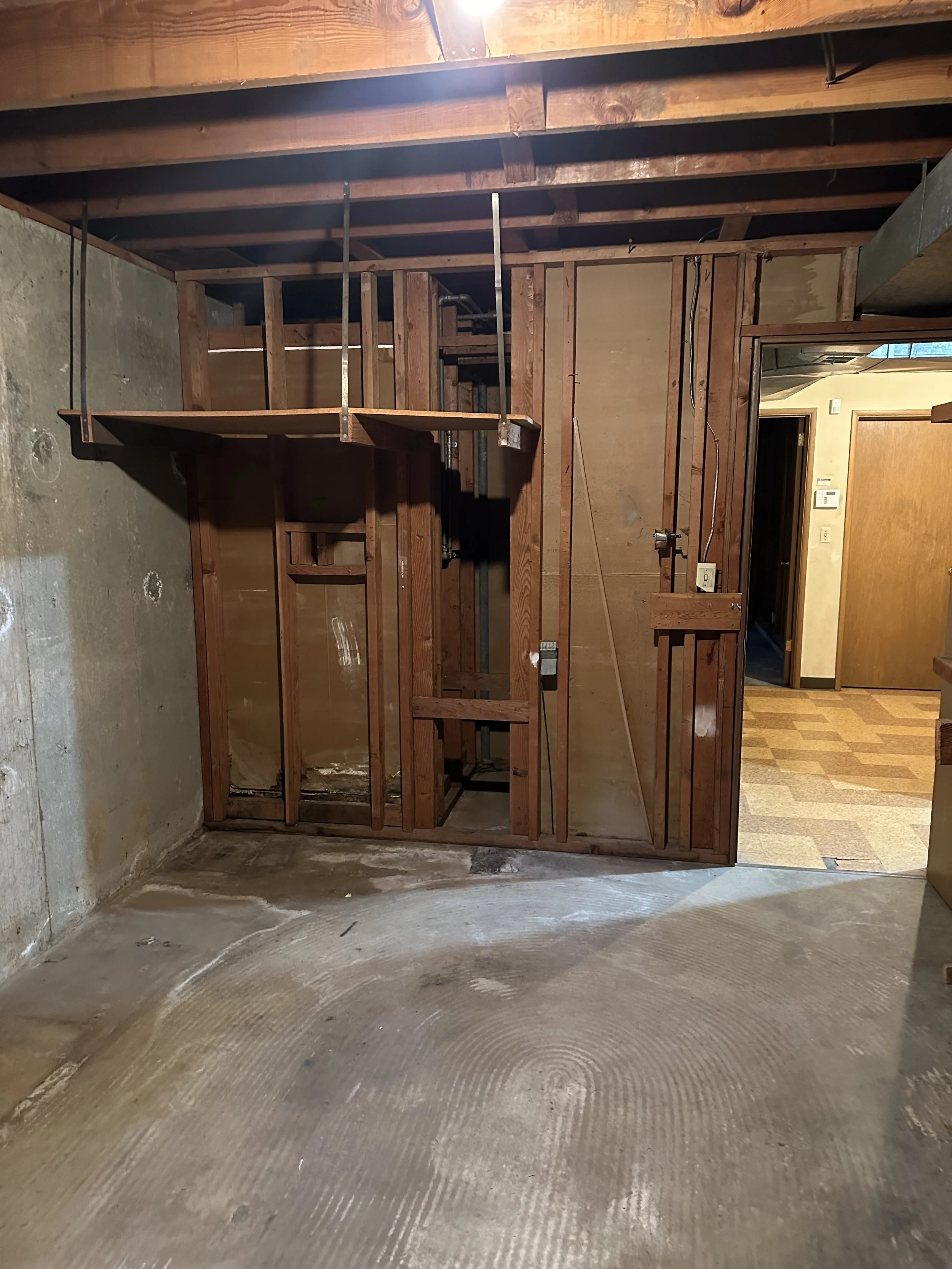 Unfinished basement