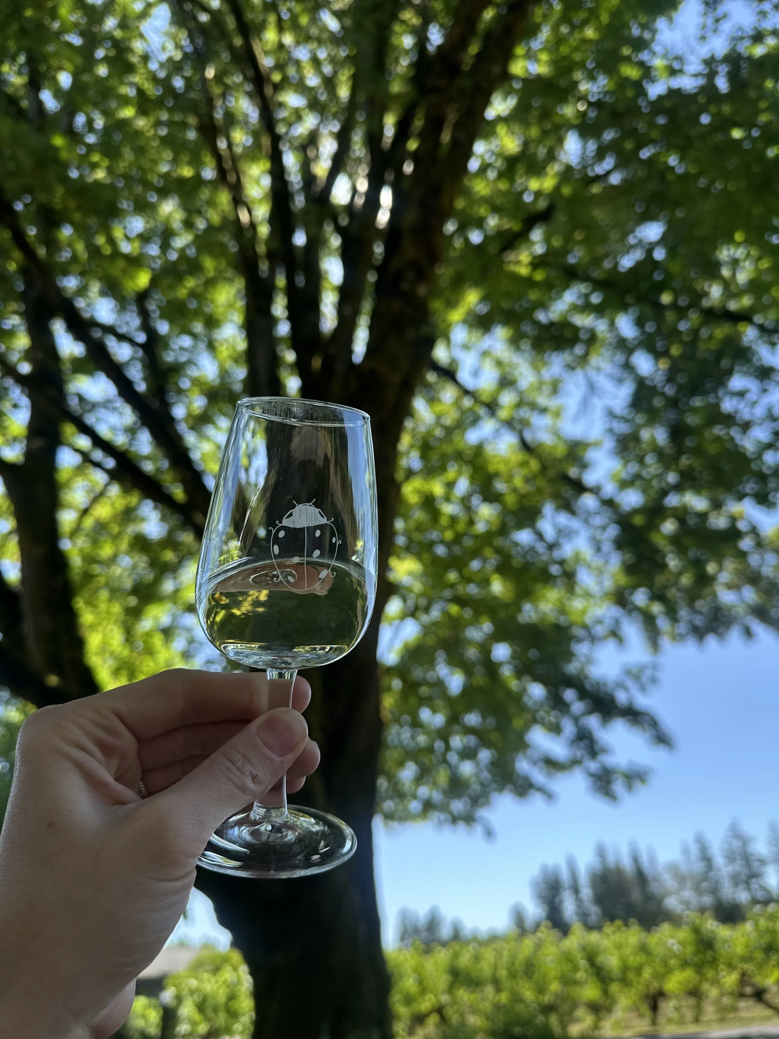 Women in Wine: Portland Spotlight