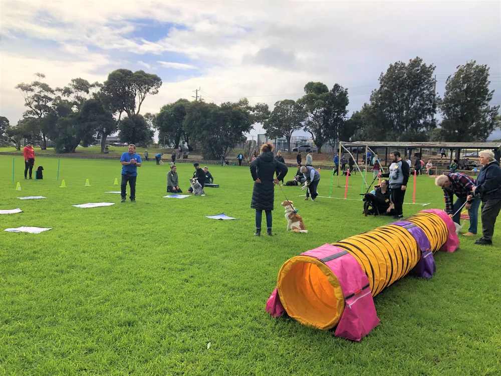 Dog Training Mornington Peninsula — Peninsula Positive Paws Dog Club Inc.