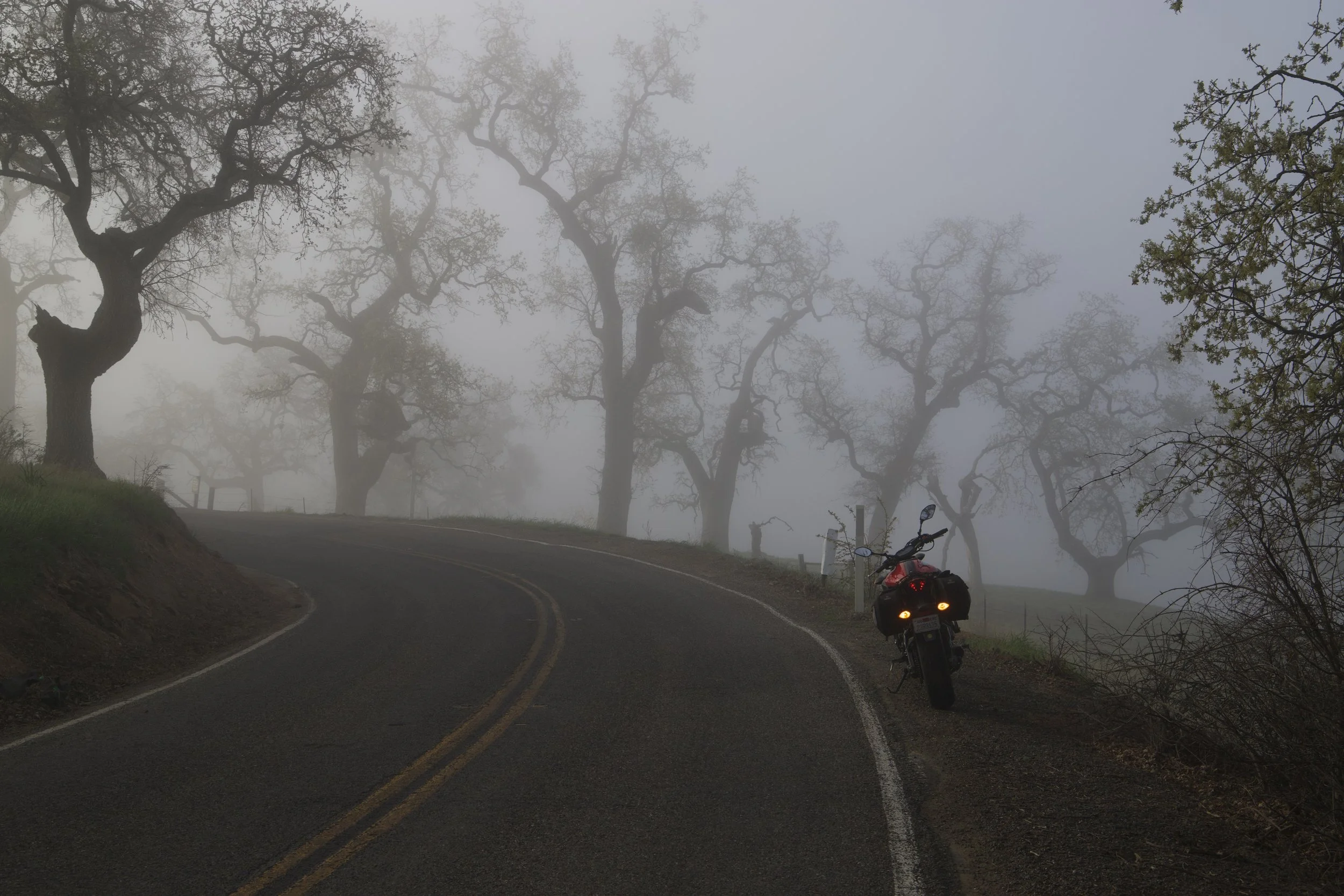 Clouding climb of Mt Hamilton