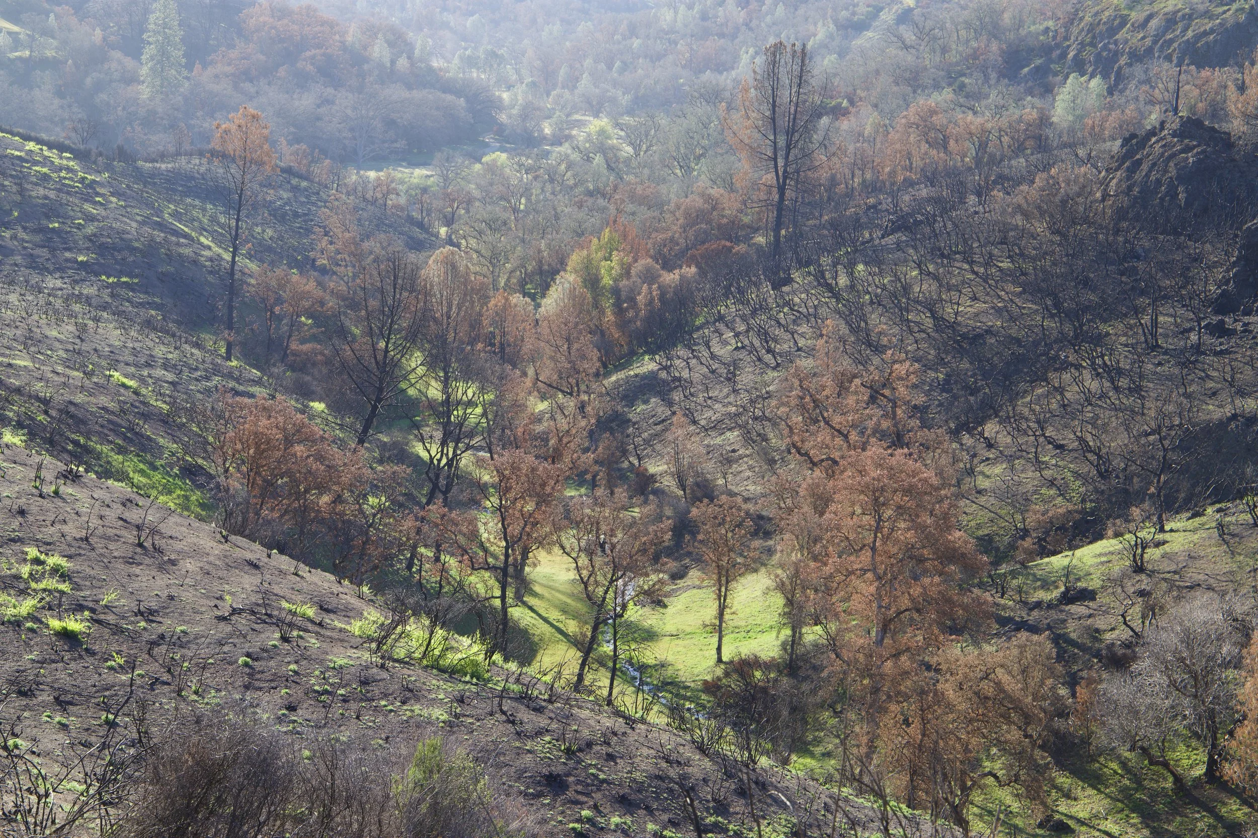 After the 2020 San Jose fire