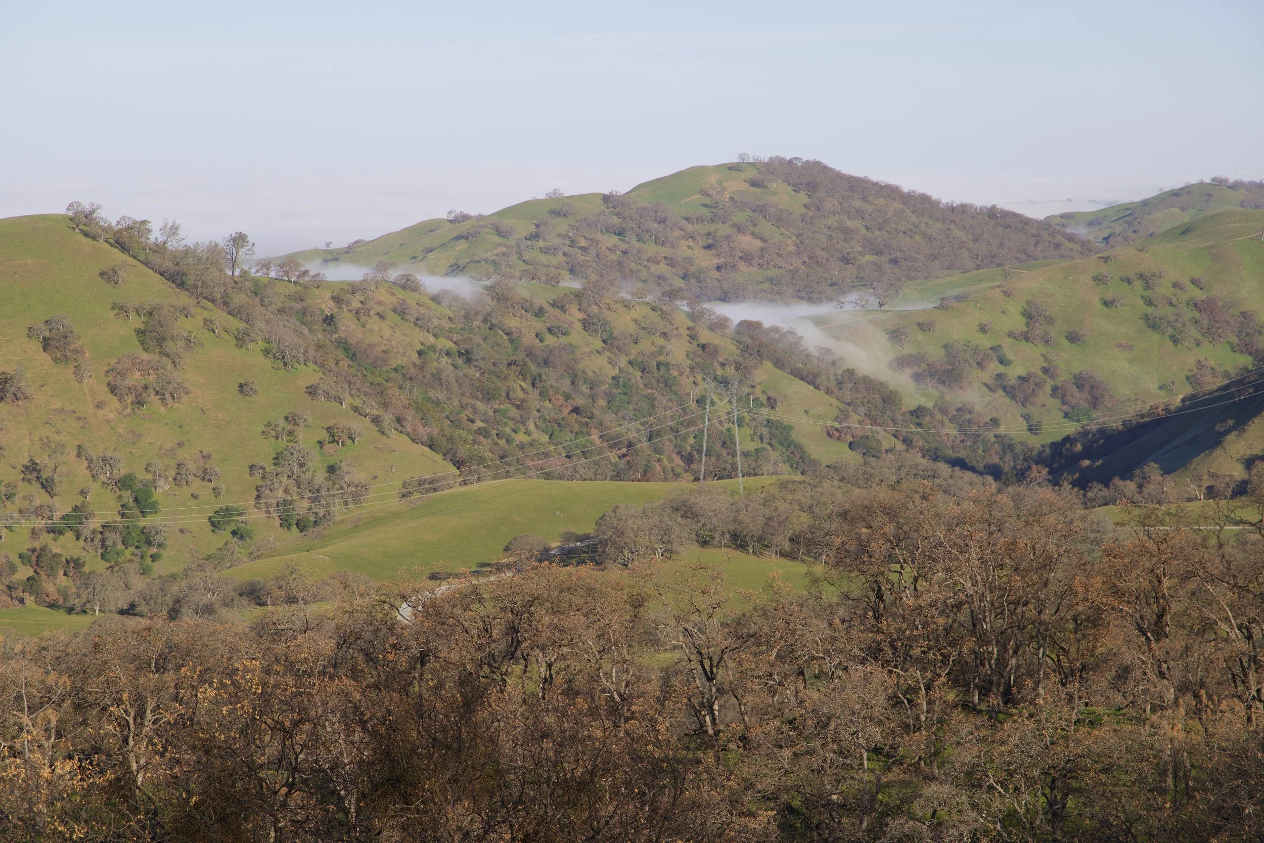 view from the top of Mt Hamilton
