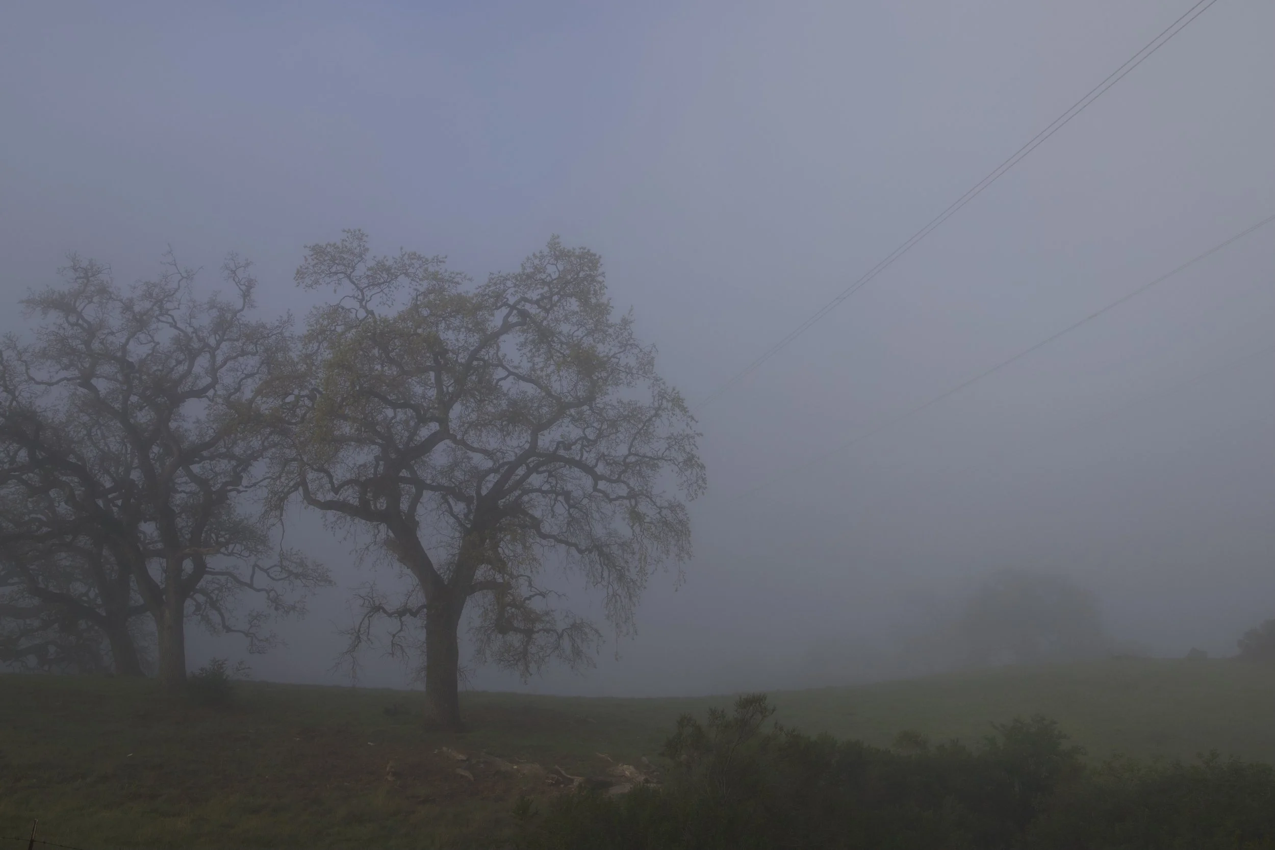 Clouding climb of Mt Hamilton