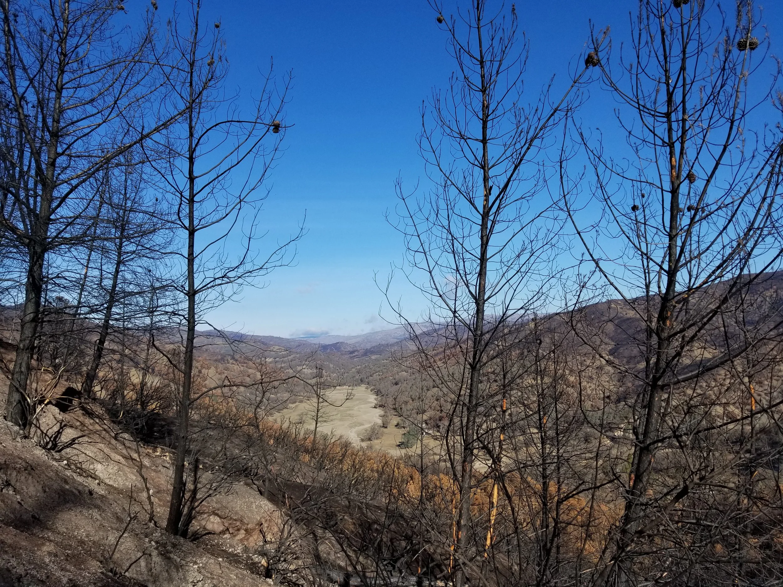 After the 2020 San Jose fire