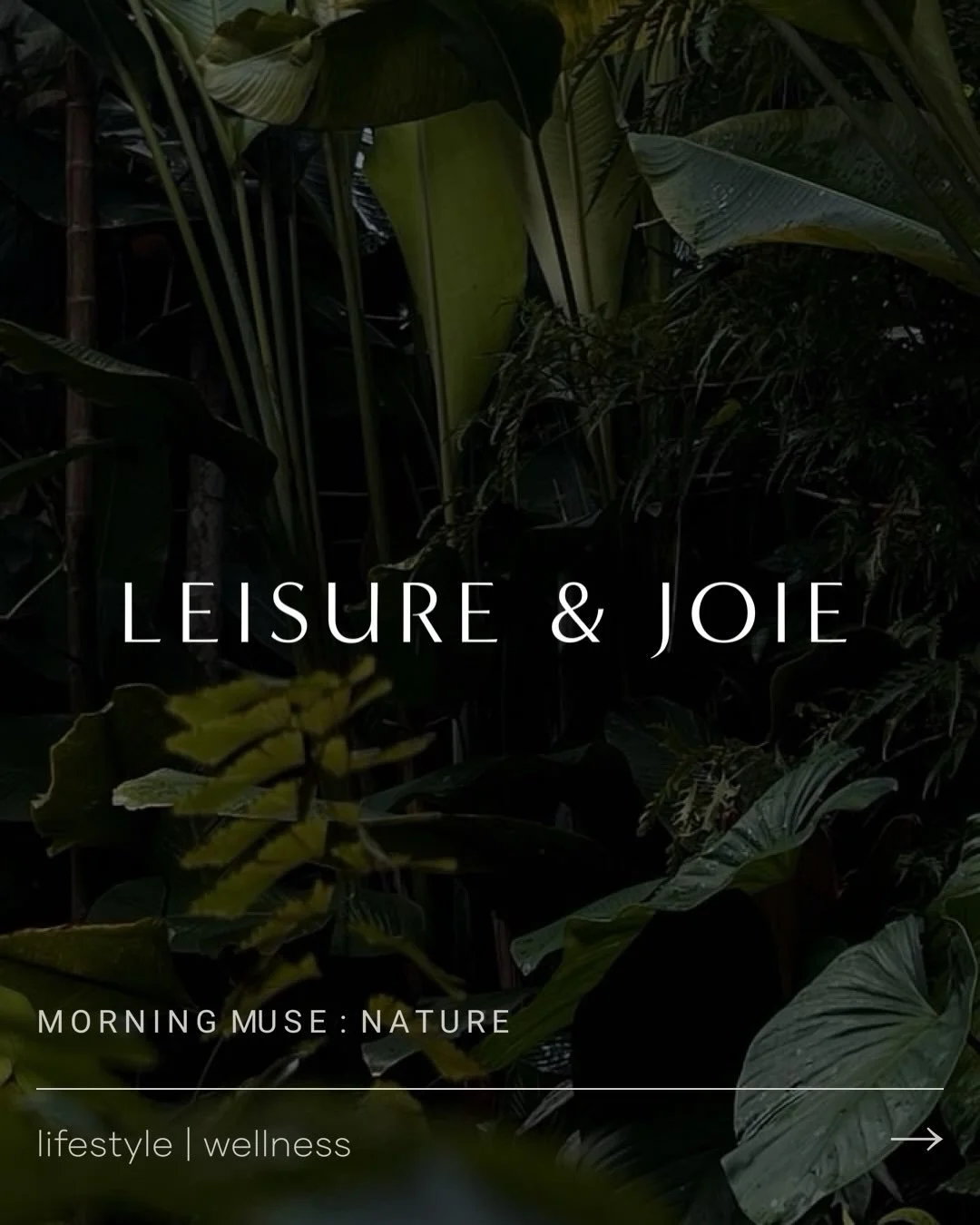 LEISURE &amp; JOIE offers a curated collection of goods for those who prioritize quality of life and well-being. 

&ldquo;Live and shop well&rdquo; aligns with the thought that your self-care and well-being should be reflected in the products you use