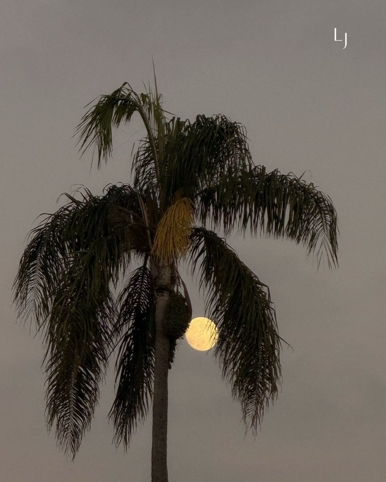 We&rsquo;ve been working &mdash; 
quietly, behind the scenes @shop.leisureandjoie 

A subtle shift in how things feel, new layers taking shape

Adjusting details &mdash;
following a rhythm that feels more aligned

Allowing space for it all to come to