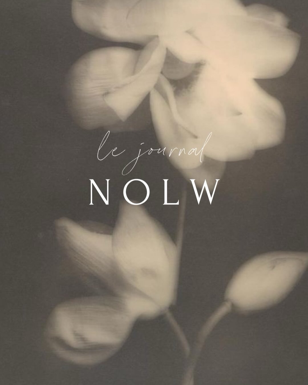 Over the years, LEISURE &amp; JOIE has become more than a collection of thoughtfully chosen objects.

It has become a place for ideas, observations, and reflections on the art of everyday life.

Those conversations now have a home of their own.

Le J