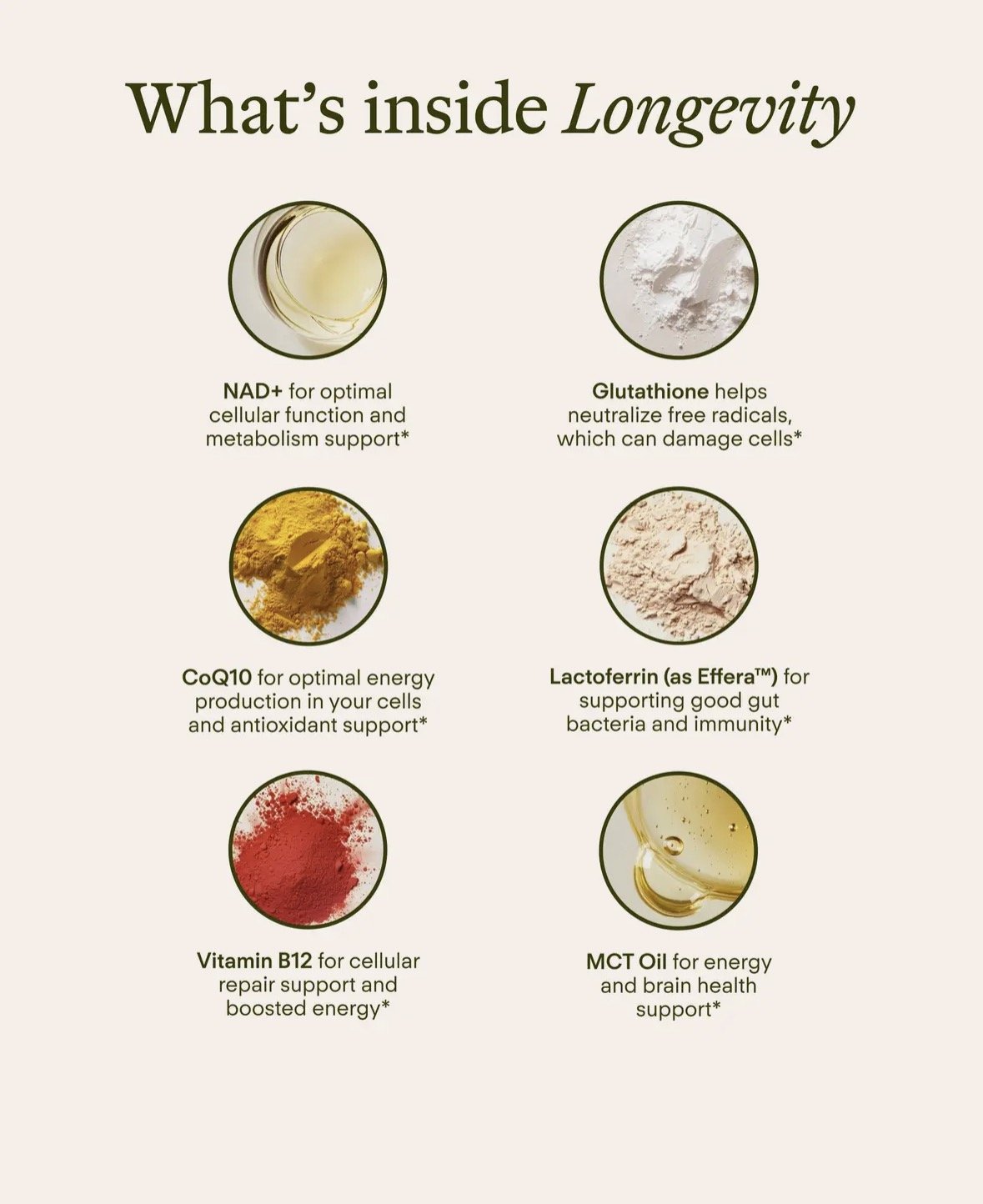 Sunny Within Longevity Strawberry Lime Longevity Supplement Leisure and Joie Wellness