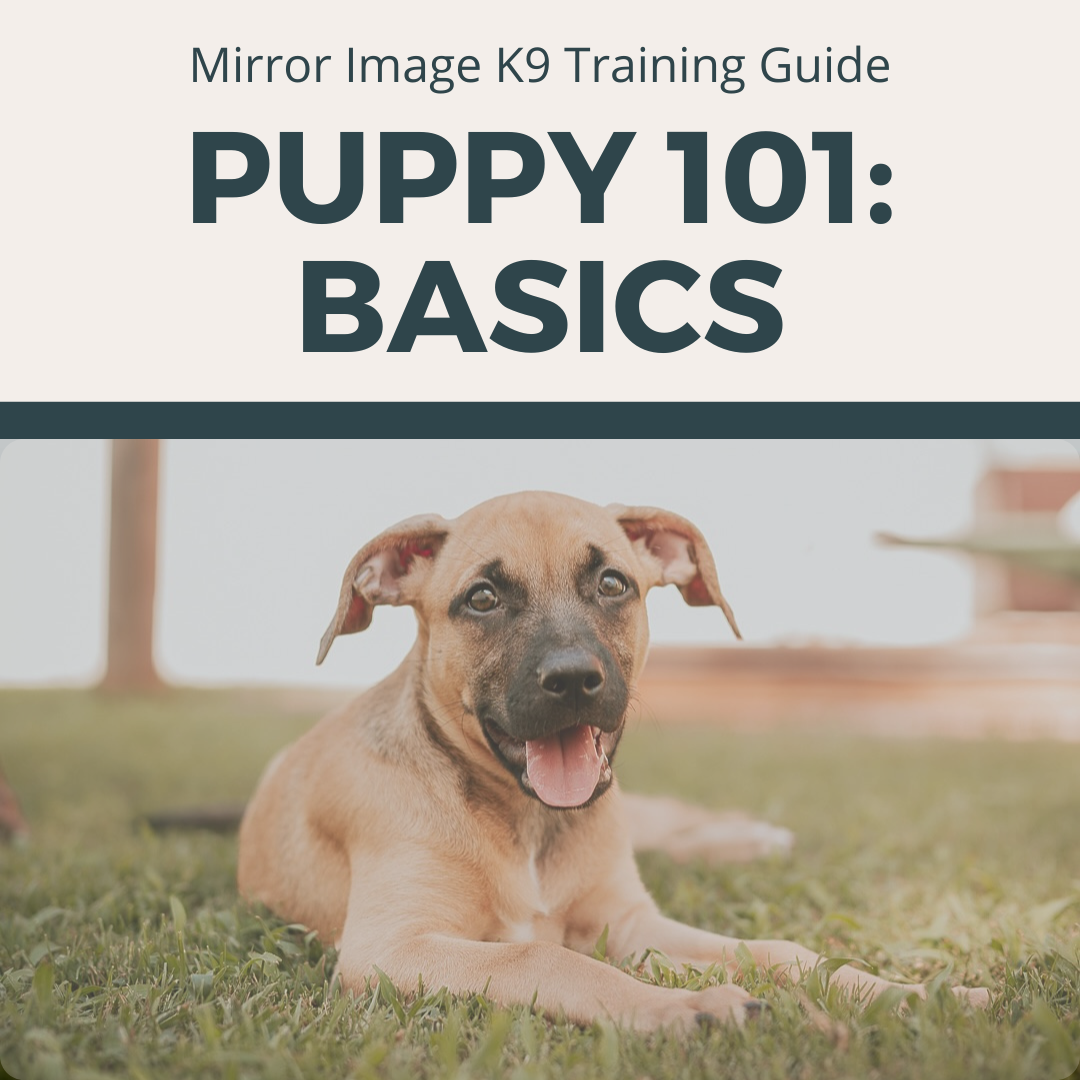 E-Book Cover Photos.png