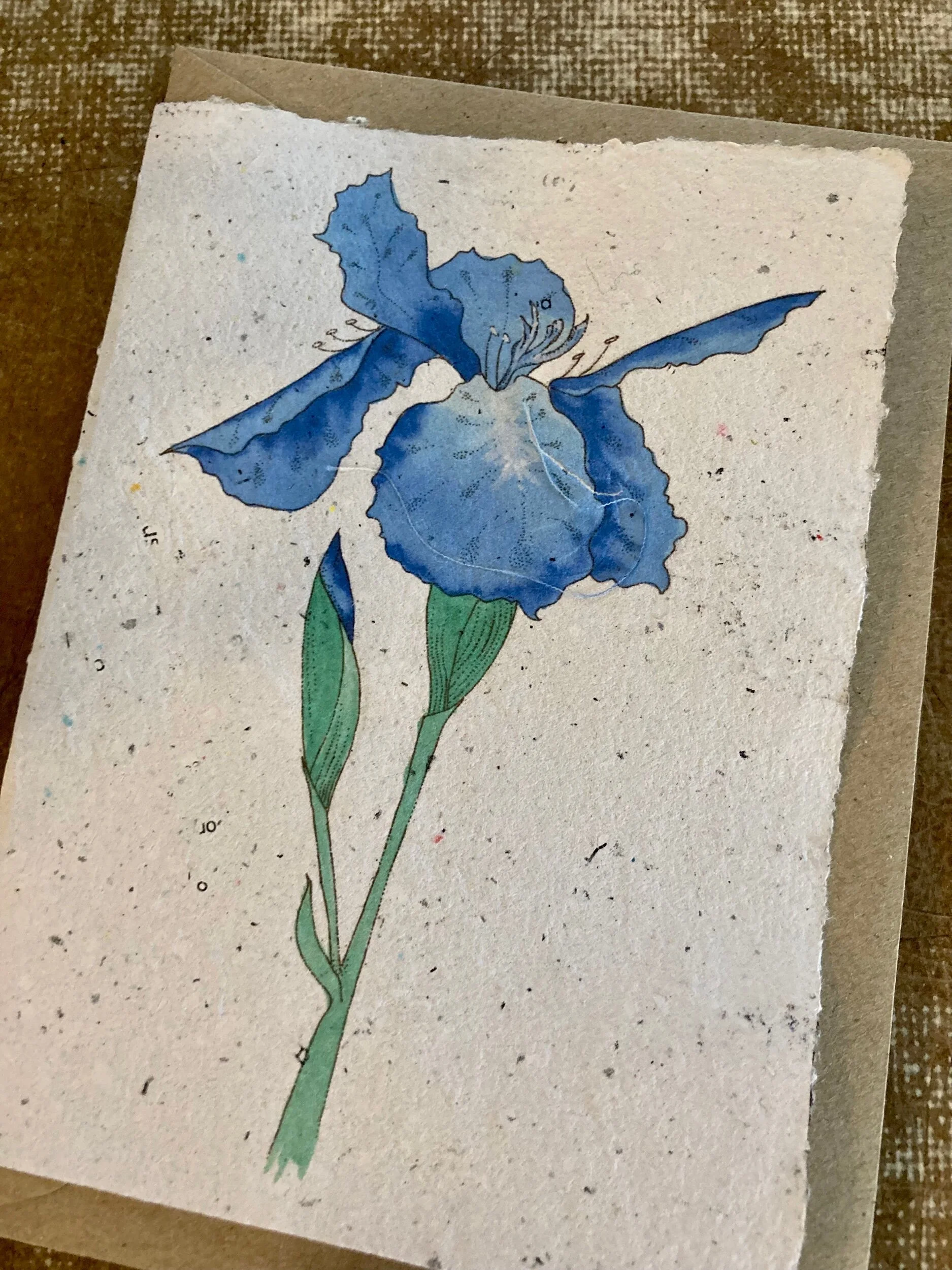 FE511E2D-C255-46B1-97CC-372BBE4910BC