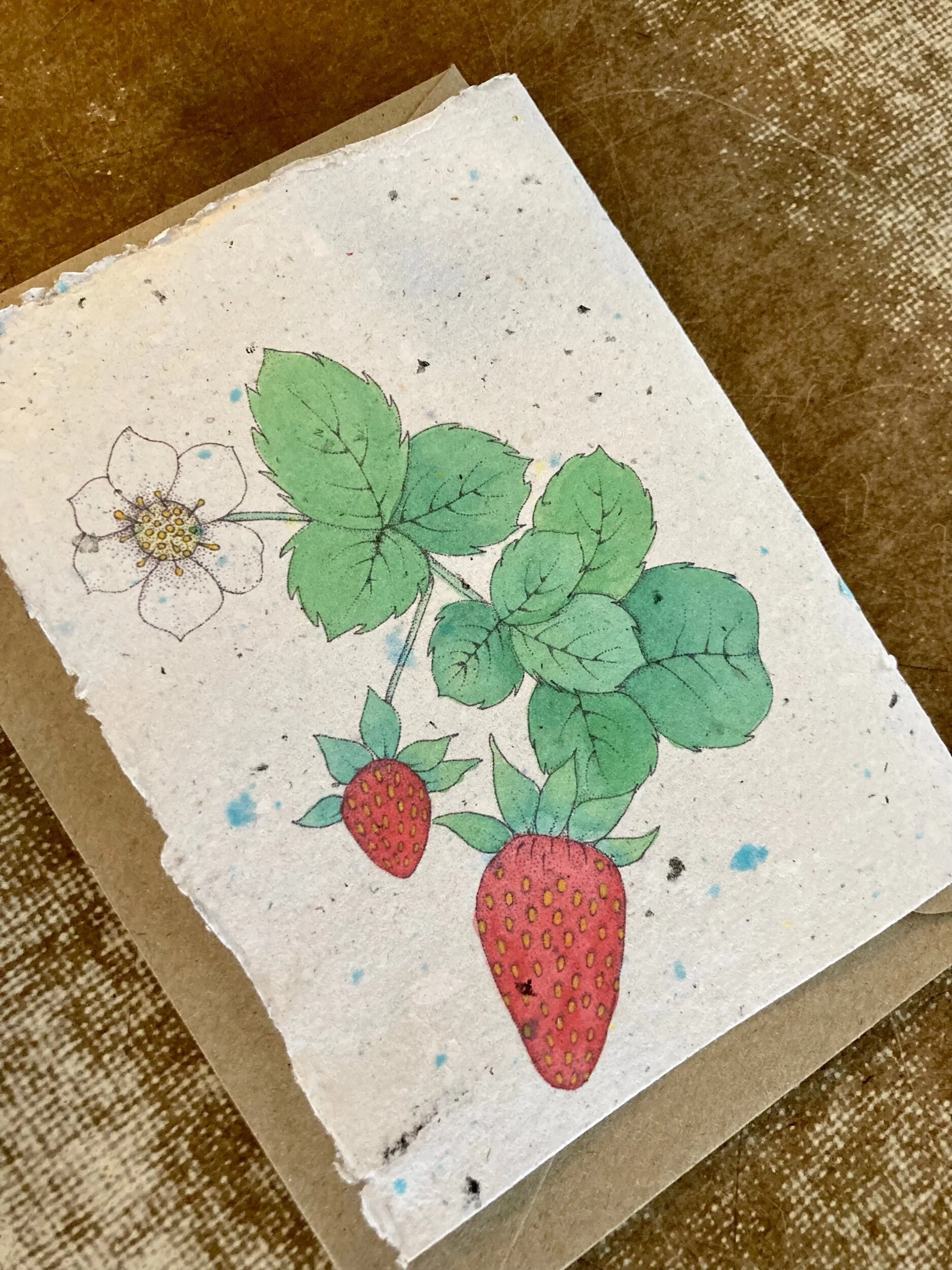 A8B8F81A-056A-4778-9BF8-C11D473E180B