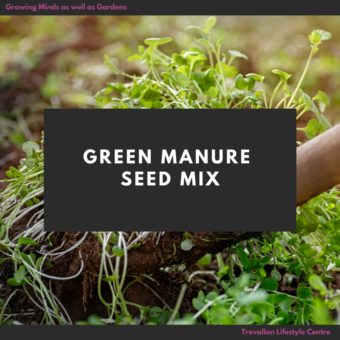 Green Manure Mix 400g — Trevallan Lifestyle Centre