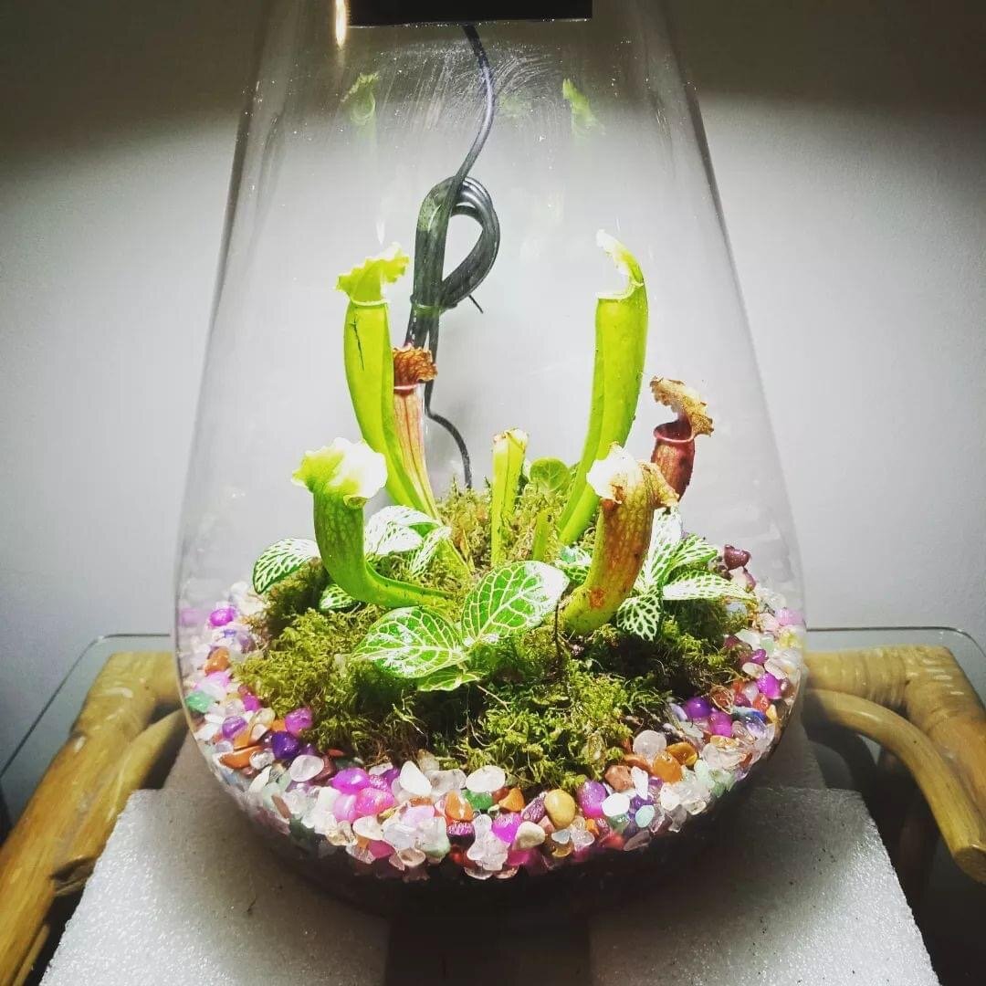 A5C2B48E-D8BB-4242-9FF2-712CF757DF0A