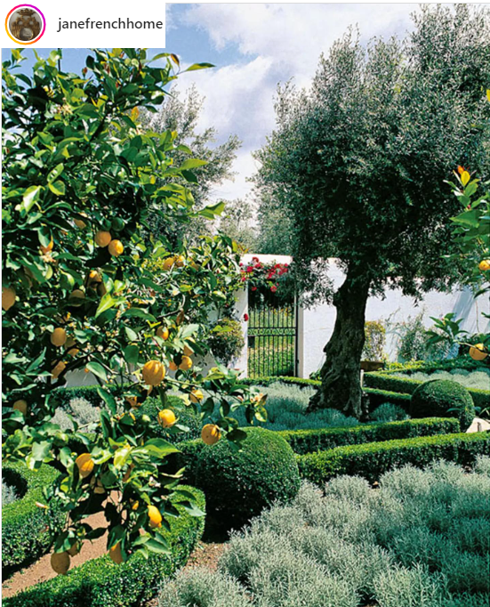 Mediterranean garden.png