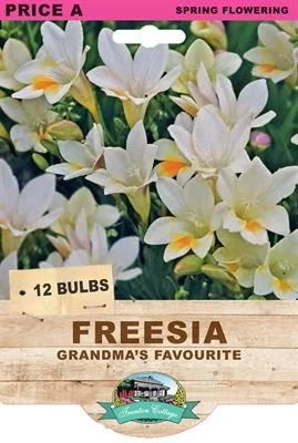 freesia-grandmas-favourite.jpeg