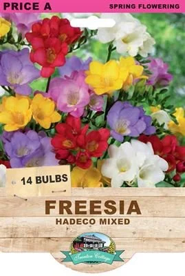 freesia-hadeco-mixed.jpeg