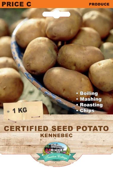 certified-seed-potato-kennebec.jpeg
