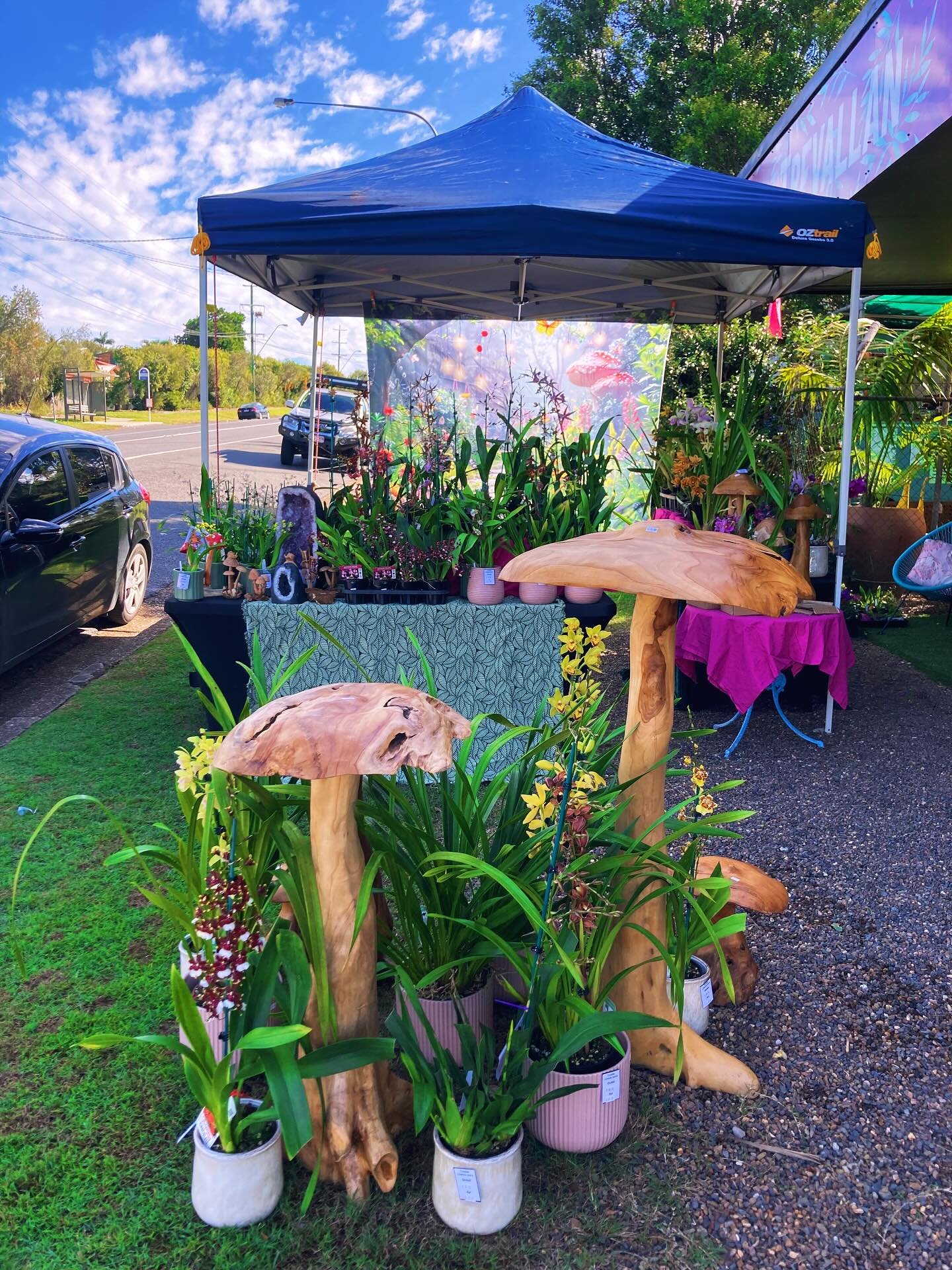 Life is never dull with me around&hellip;
Working around the clock at the moment. Not only pulling together @trevallan&rsquo;s stall for the @ipswichplantandlifestylefair but also running the fair&hellip; Lucky family and friends love me enough to he