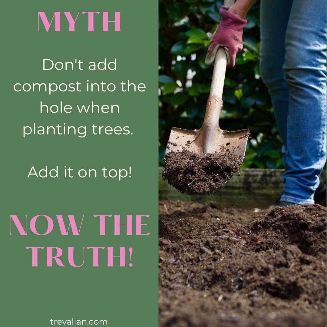 Planting myths often contain a seed of truth, but as any gardener knows, the real story is rarely so simple. In gardening, there&rsquo;s rarely a one-size-fits-all rule.

This gardening myth was one that needed a little more information and nuance.
T