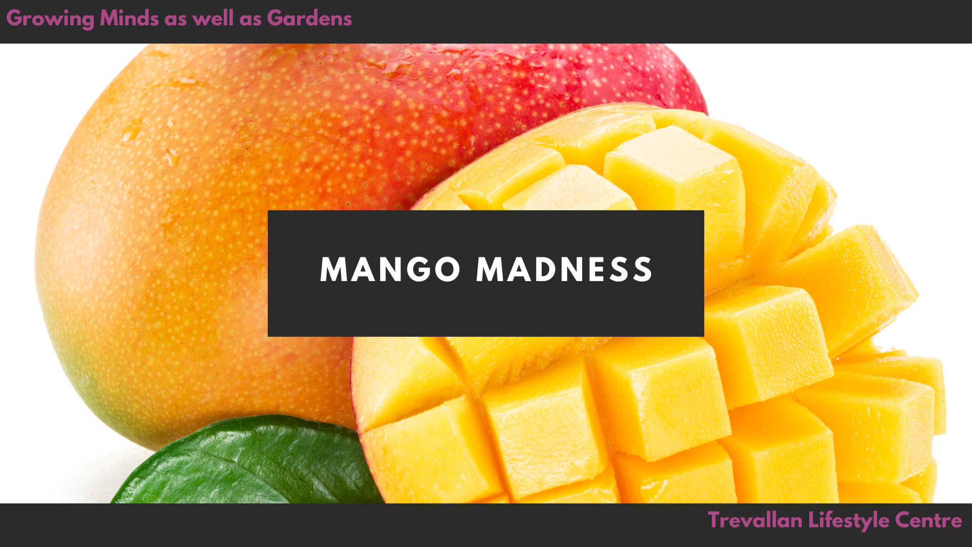 Mango Madness