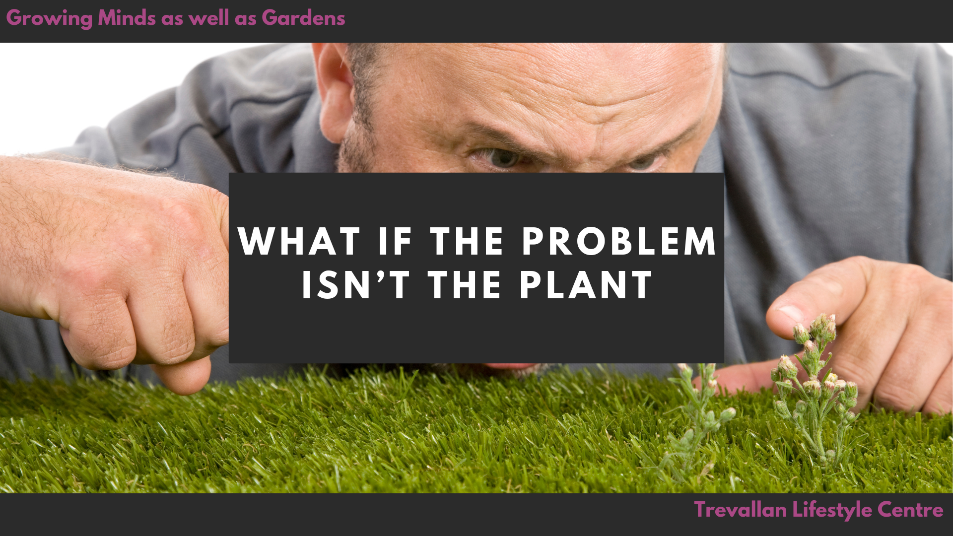 What if the Problem isn't the Plant