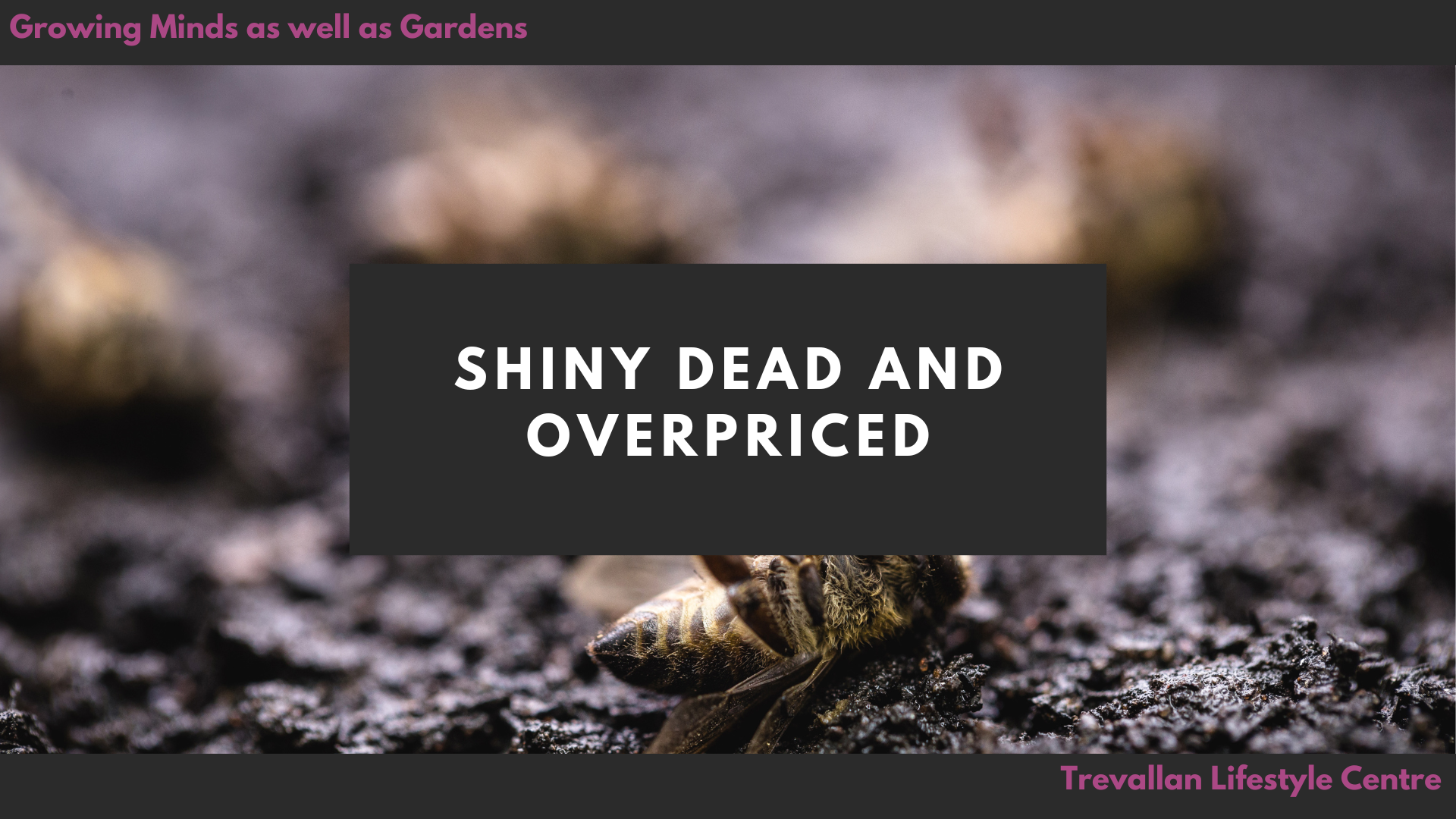 Shiny, Dead, and Overpriced