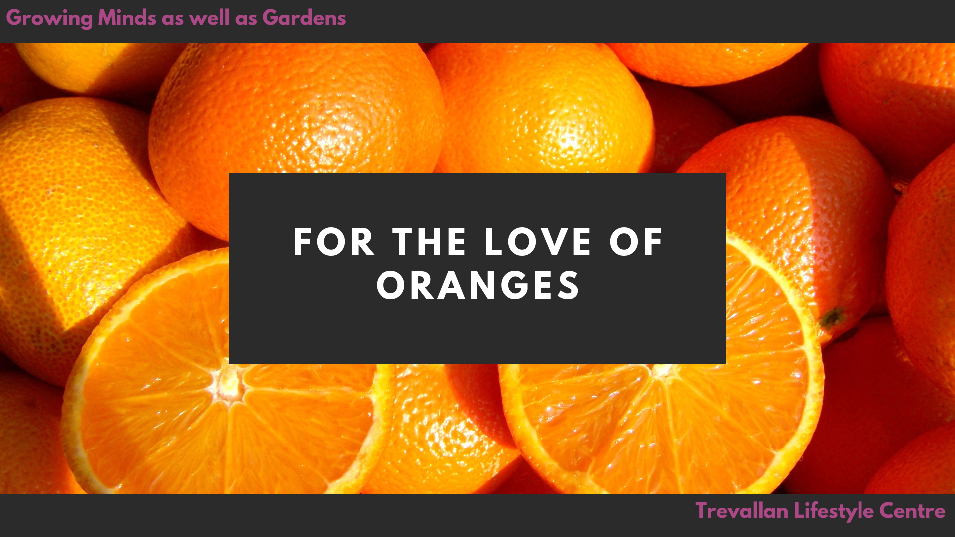 Choosing the Best Oranges for Your Backyard