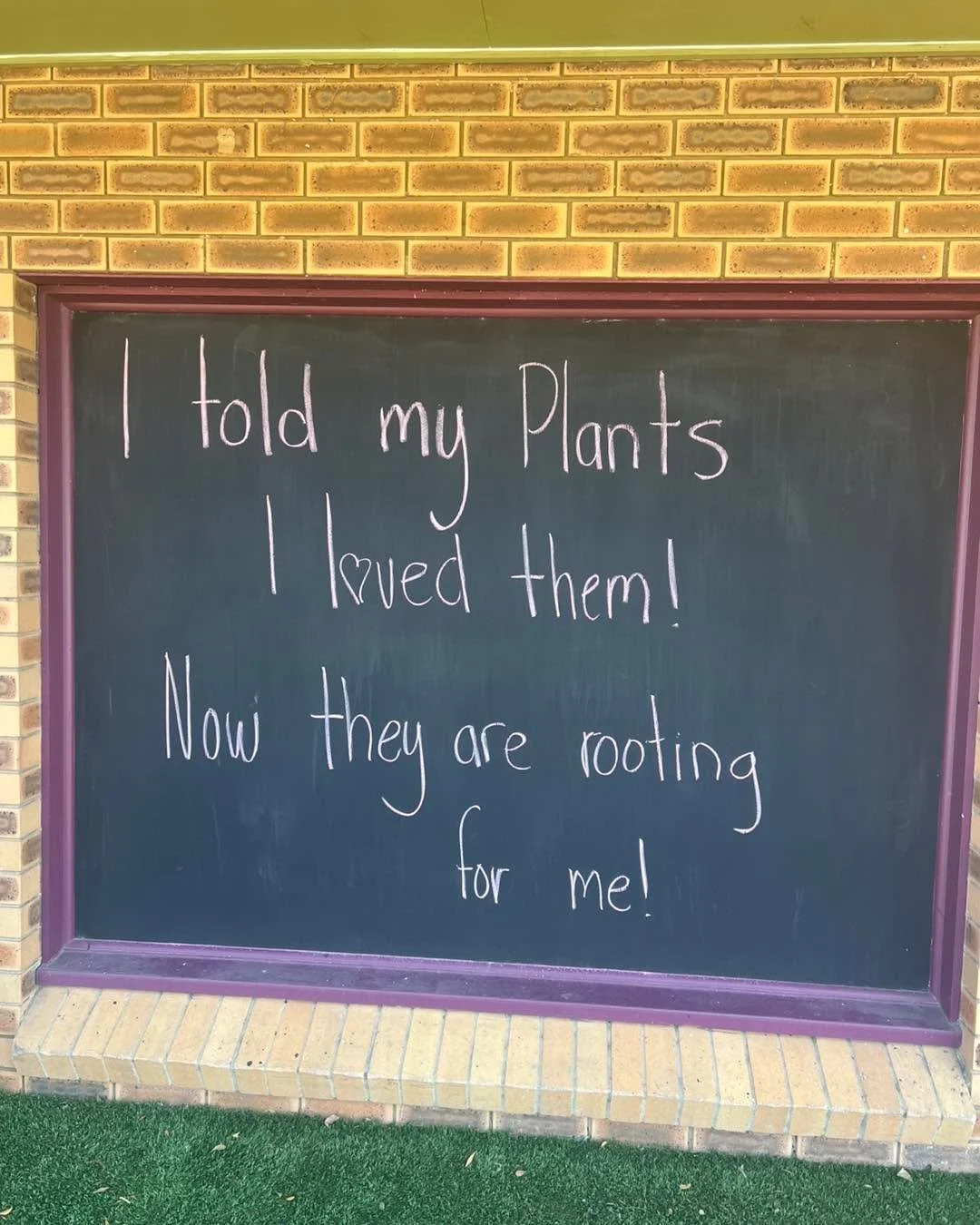 When I explain to people I am hilarious and my family 🙄 give me an eye roll &hellip; 

This made me laugh for a long time&hellip; knowing this is my humour and my family have to live with it everyday will probably make you appreciate what they have 