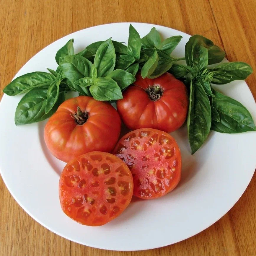 New Heirloom Tomatoes Have Arrived!

We&rsquo;re excited to stock The Diggers Club Heirloom range of tomatoes, proudly supplied through Pohlmans.

The Diggers Club, founded in 1978, has spent decades carefully selecting varieties for their flavour, t