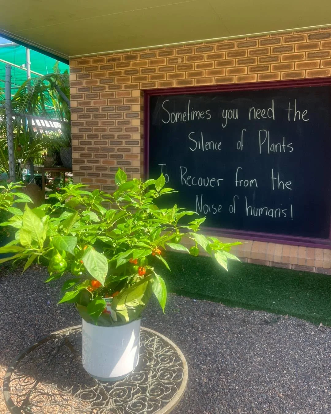 Sometimes you need the silence of plants to recover from the noise of humans &hellip; if you are feeling a bit like this don&rsquo;t forget to stop in to Trevallan. Ground yourself amongst the plants&hellip; grab a coffee and just wander around and b