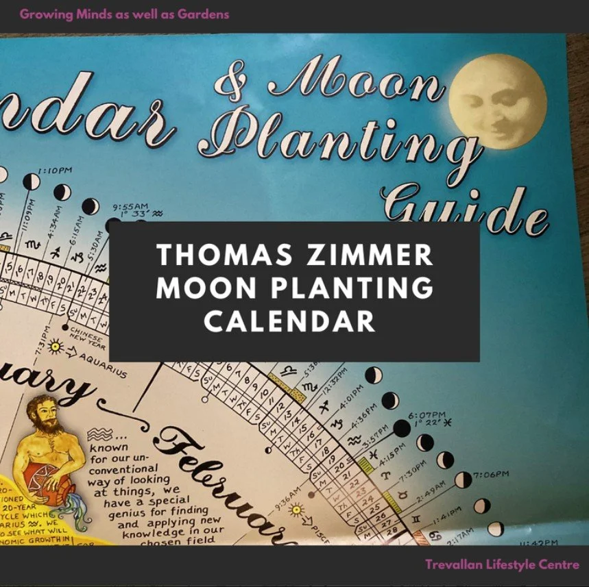 Finally the day you've all been waiting for - Pre Orders are open for Thomas Zimmer Astrological Calendar and Moon Planting Guide 2026

Thomas Zimmer&rsquo;s Moon Planting Calendar is an Australian classic, designed specifically for our conditions. I