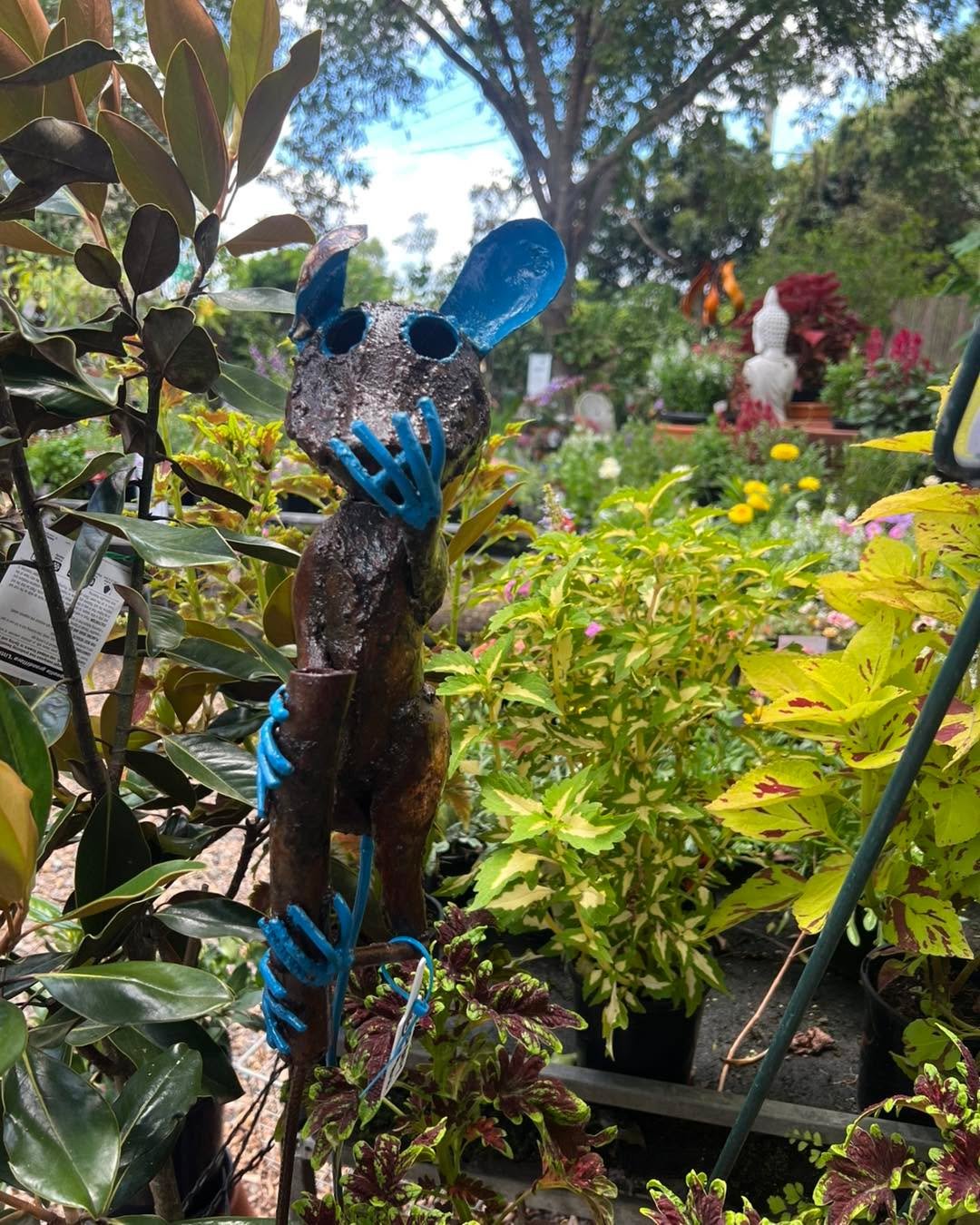 Things that make me Smile today!