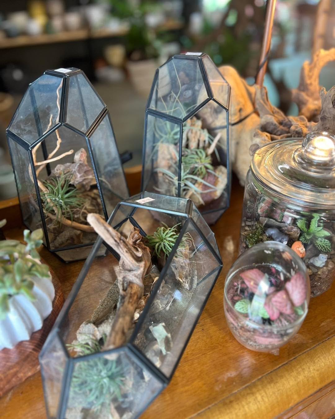 Well the weather gods are playing nicely and so today seems like the perfect day to get out in the garden. 

Trevallan will be open 10am to 2pm today and tomorrow but unfortunately no coffee available this weekend as our grinder decided that it neede