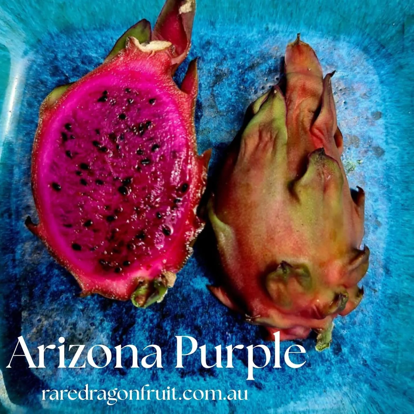 Why grow dragon fruit?

Did you know Dragon fruit is incredibly good for you?
It&rsquo;s a nutrient-dense, low-calorie tropical fruit rich in fibre, antioxidants (like vitamin C and betalains), essential minerals, and prebiotics that support gut heal