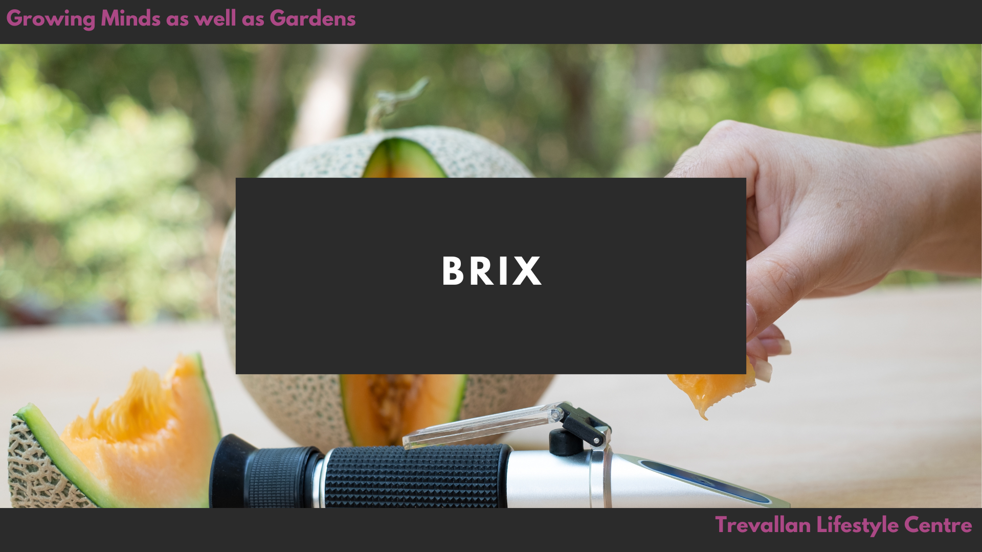 Brix