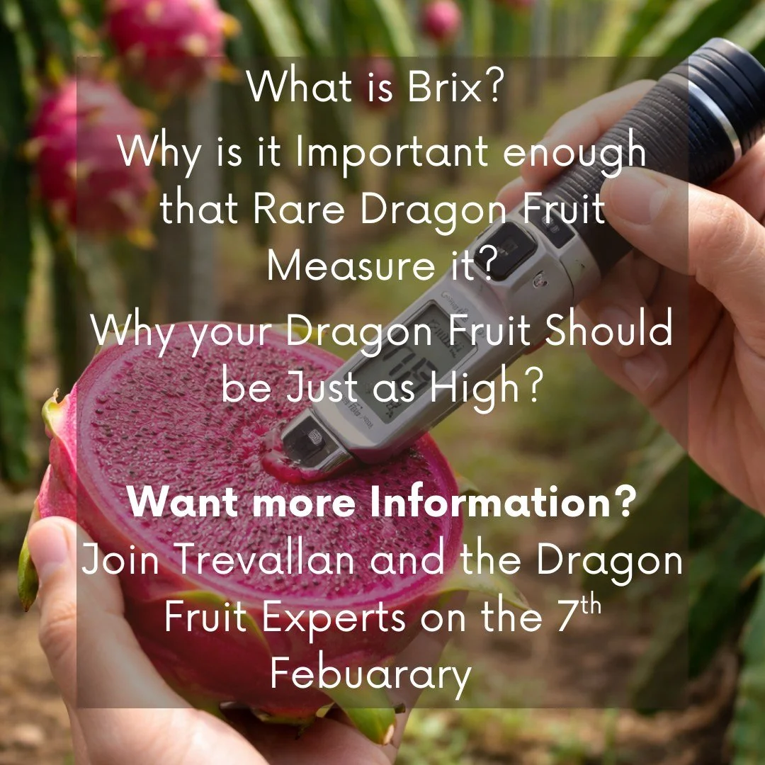 What is Brix?
Why does it matter for flavour, plant health, and dragon fruit?

Brix is a measure of dissolved solids in plant sap or fruit juice. In simple terms, it tells us how well a plant is photosynthesising, taking up nutrients, and turning sun