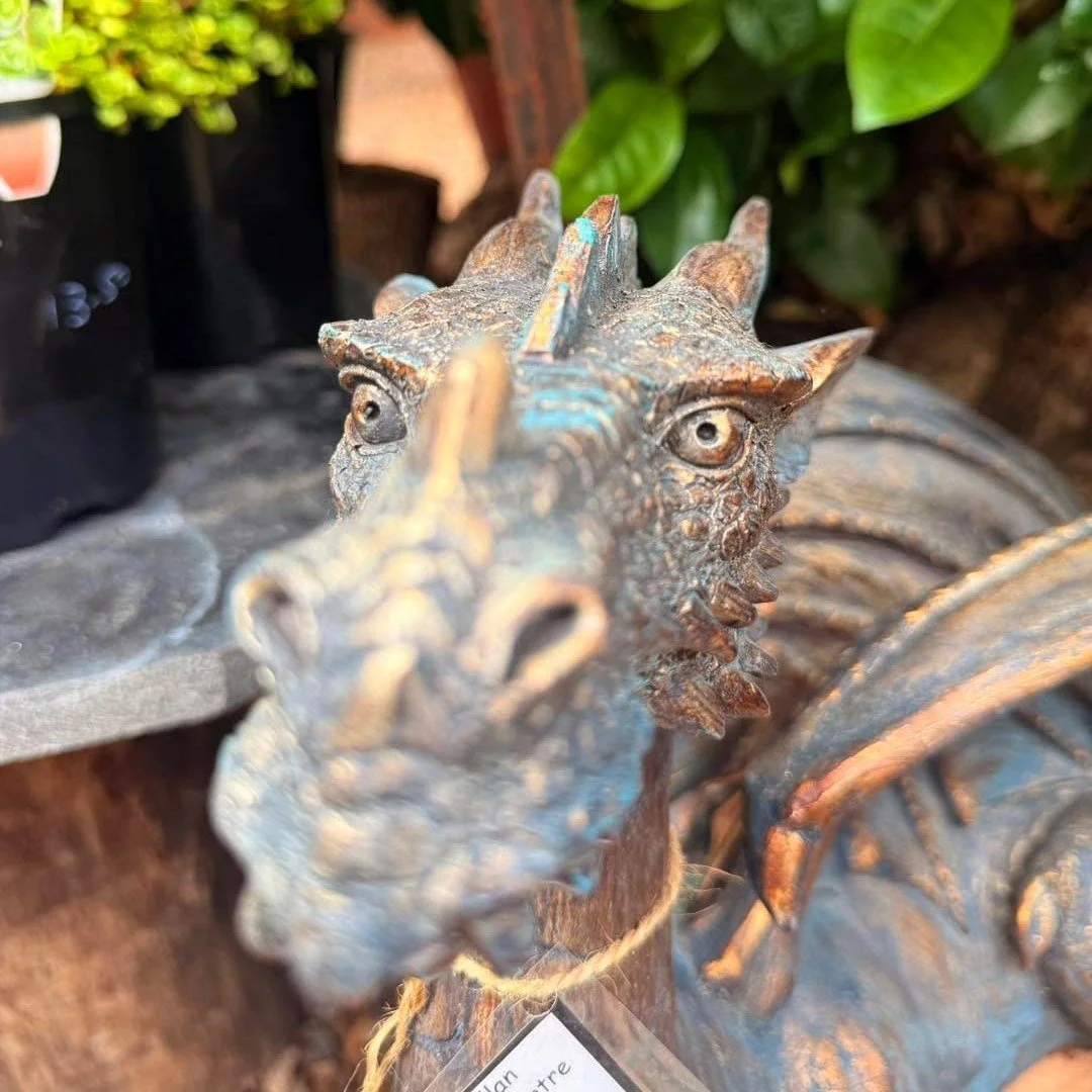 I can&rsquo;t thank Yana from @raredragonfruit enough for absolutely killing it in our first workshop of the year.

Every attendee walked away not only with new knowledge, but with real confidence that they can grow this incredible fruit themselves. 