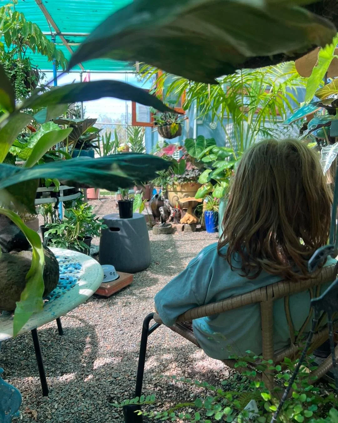 Trevallan is definitely the place to be this morning. 

Relaxing, chilling having a coffee, just enjoying the space where no one knows you &hellip; 

Doesn&rsquo;t matter if you&rsquo;ve spent all night singing and dancing in Brisbane, Trevallan is t