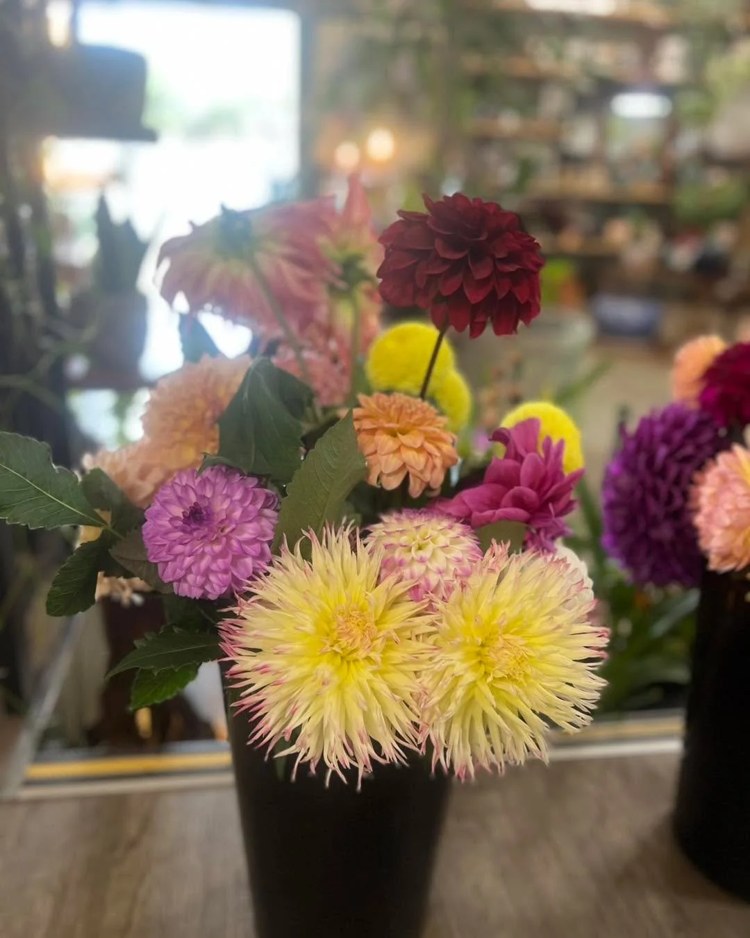 February Love

You know who I love the mostest! 

Brian 

Cause see pictures

How could one be unhappy when these blooms are in my life

Dahlia cut flowers start from $2 stem
 orchids start from $40 
Caladiums start from $20 

You know the rules with