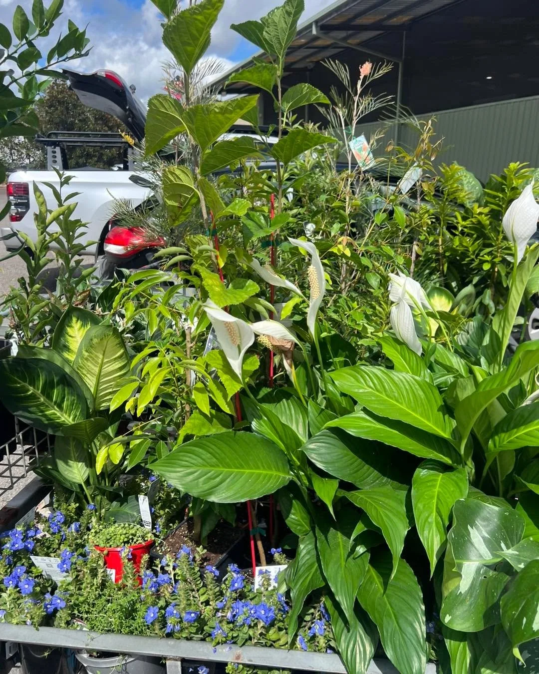 The thing I love about February&hellip; it&rsquo;s nearly over &hellip; wow what a month! 

Today I am playing Tetris again! 
I hate shopping even grocery shopping I&rsquo;ll put off until even I agree with the kids there is no food in the house! 

P