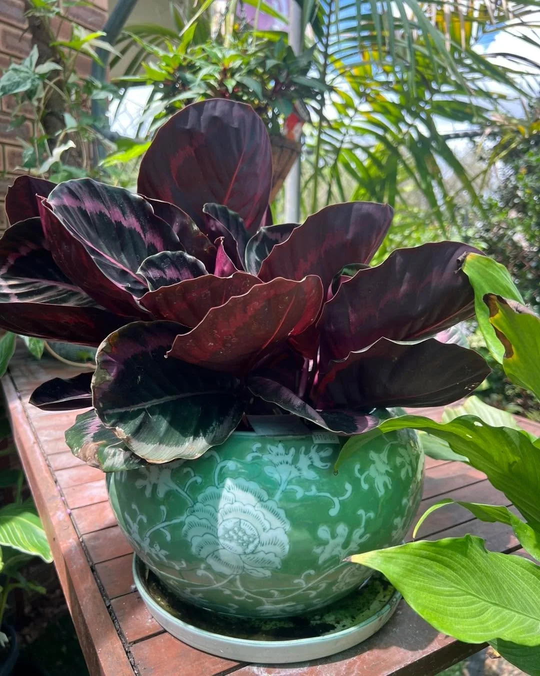 No spring nor summer's beauty hath such grace
As I have seen in one Autumnal face....
~John Donne, "Elegy IX: The Autumnal"

Welcome to Autumn 
Ohhh I love this time of year. It&rsquo;s almost cool enough for me to get back outside and pans